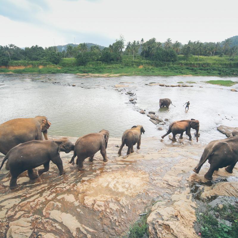 Ceylon Roads - visit Sri Lanka 