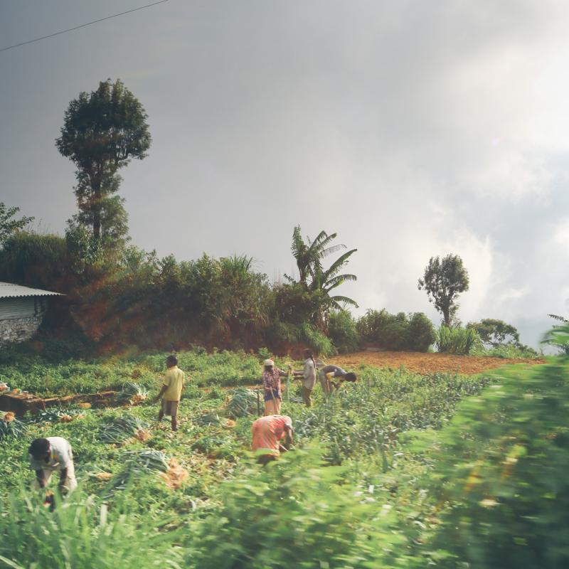Ceylon Roads - visit Sri Lanka 