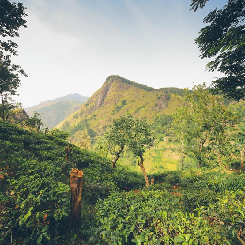 Ceylon Roads - visit Sri Lanka 